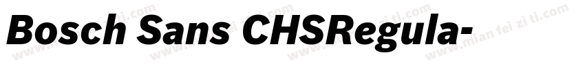 Bosch Sans CHSRegula字体转换